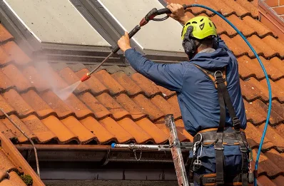 Démoussage et hydrofuge de toiture à Bellot